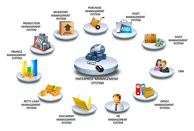 enterprise management system